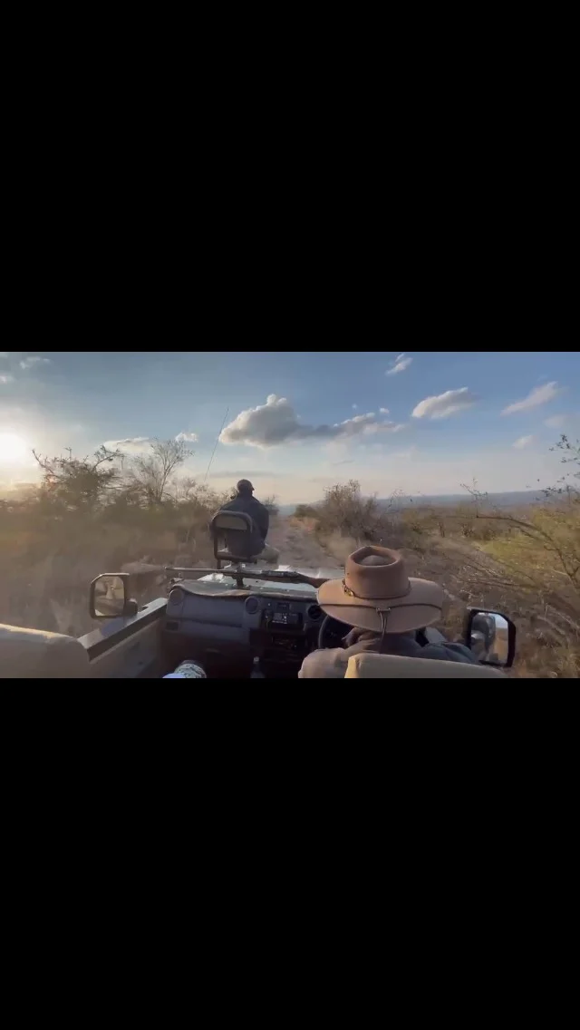 Driving through the African bush in search of lions or wild dogs with an incredible guide reminds you to slow down, breathe and be present. Thank you @pondoro_game_lodge @robertprehnphotography 

We all reset in different ways. For some it’s the gym, for others it’s walking the dog, golf,trekking,fishing, music, or sitting quietly in nature. Finding what helps you switch off isn’t a luxury it’s an important part of looking after your mental health.

The bush has a way of putting life into perspective. No endless notifications. No pressure. Just the sounds of nature and the excitement of never knowing what you’ll discover around the next corner.

Whatever your “African bush” looks like, make time for it. Your mind deserves it.#mensmentalhealth #mentalhealthmatters #jacksplace #pondorogamelodge
